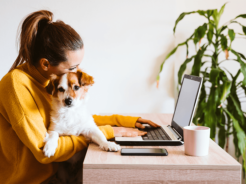 Homeoffice Arbeitsplatz - Remote Arbeit bei The Location Lab GmbH